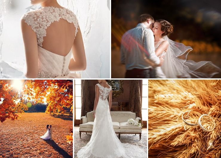 Wedding dresses Ivory in Autumn