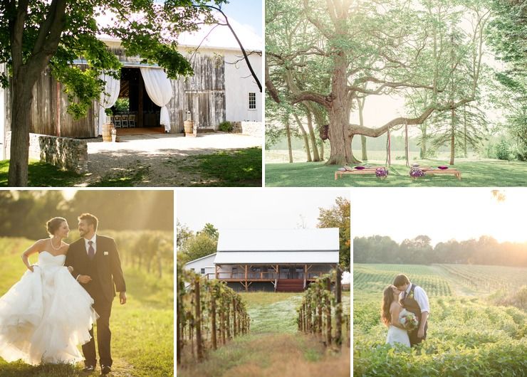 Hidden Vineyard Wedding Barn
