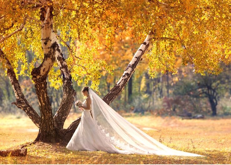 Real weddings in Autumn