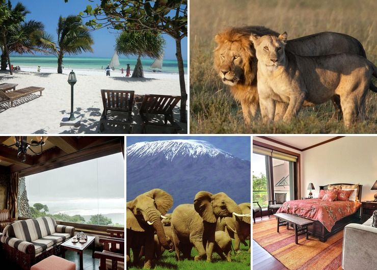 Wedding Venues in Tanzania places like safari lodges Serengeti and beach holidays Zanzibar