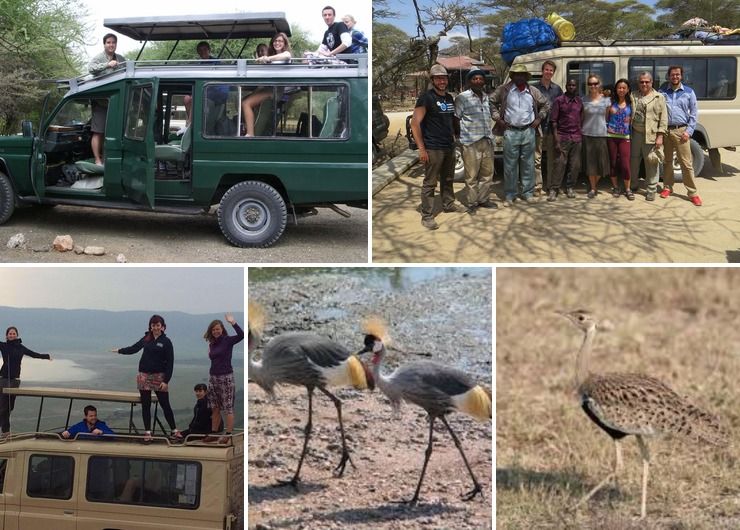 4days bird watching safari: Arusha National Park, Tarangire, Ngorongoro crater