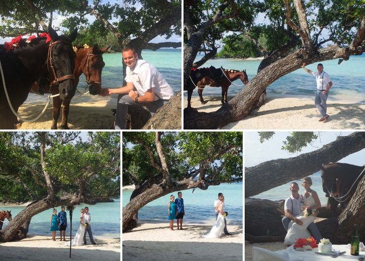 Island Wedding with Horses