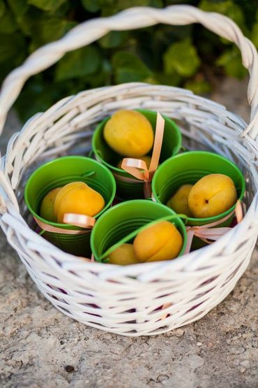 Fruit yellow photo session decor