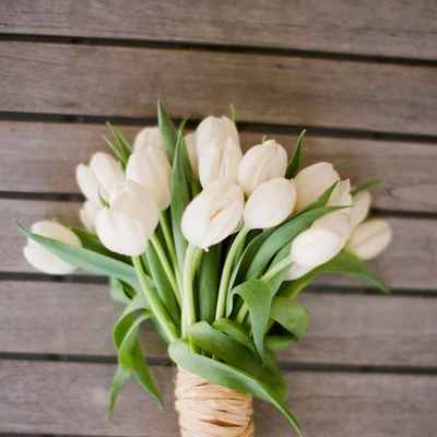 Spring green tulip wedding bouquet