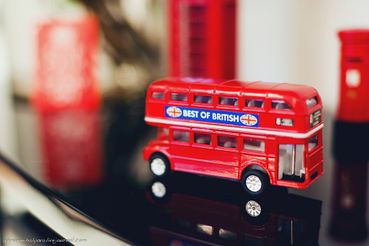 English red photo session decor