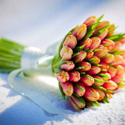 Spring orange tulip wedding bouquet