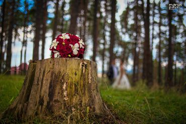 Red wedding photo session ideas