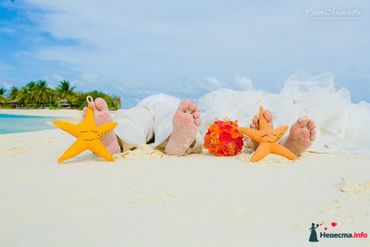 Beach orange photo session decor